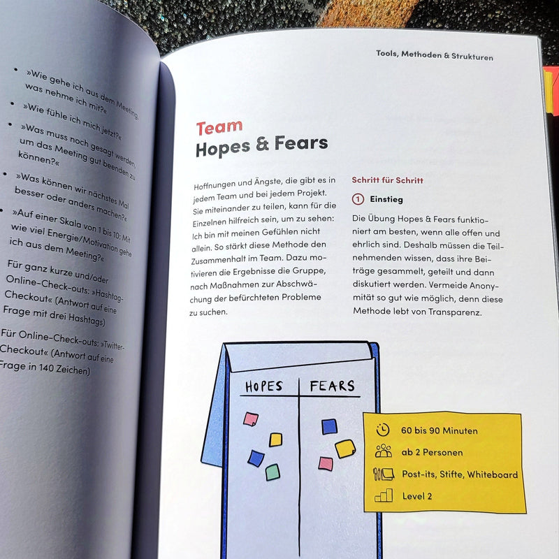Hendric Mostert, Dana Hoffmann: Conflict Culture Playbook