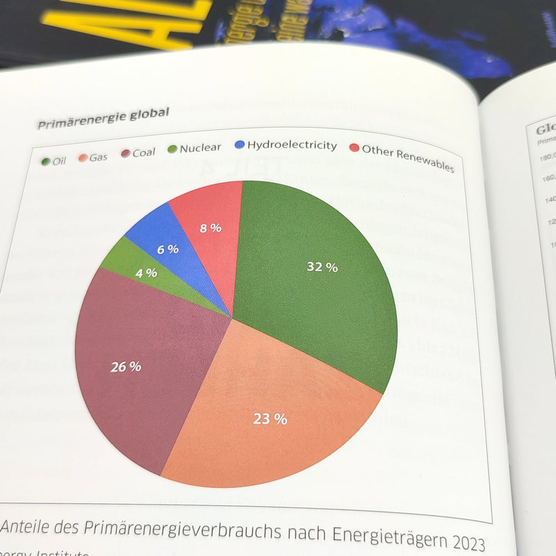 Franz Josef Radermacher, Bert Beyers: All in! Energie und Wohlstand für eine wachsende Welt
