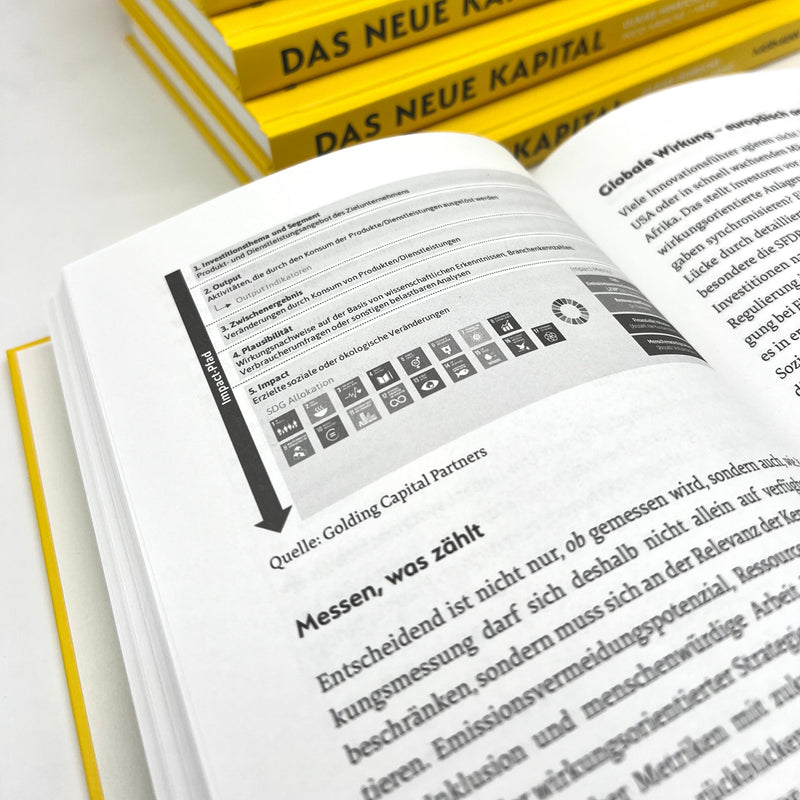 Ulrike Hinrichs, Ingo Krocke: Das Neue Kapital. Unsere Chance für Deutschlands nächstes Wirtschaftswunder.