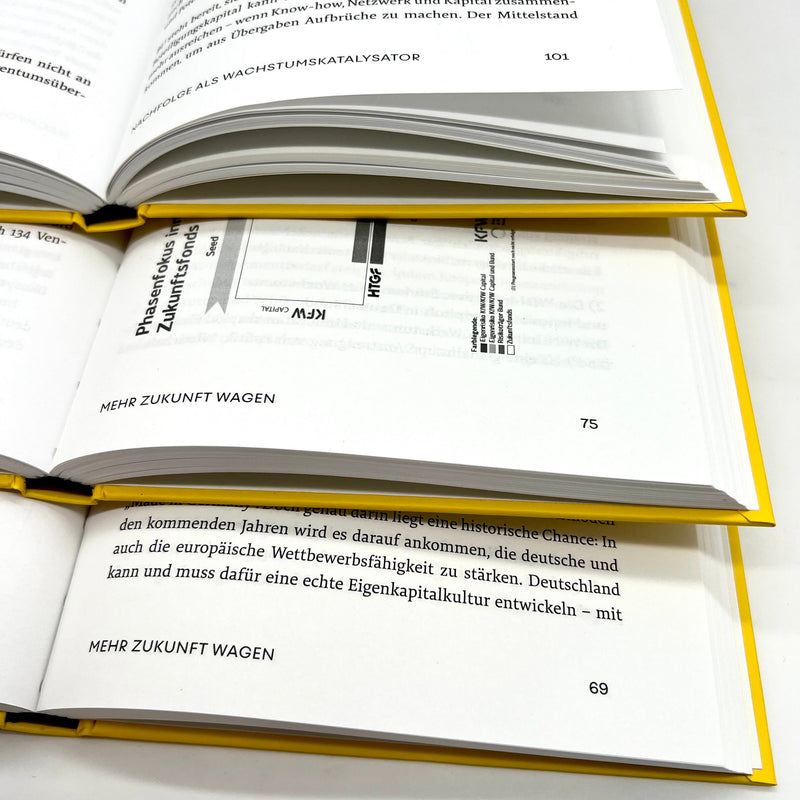Ulrike Hinrichs, Ingo Krocke: Das Neue Kapital. Unsere Chance für Deutschlands nächstes Wirtschaftswunder.