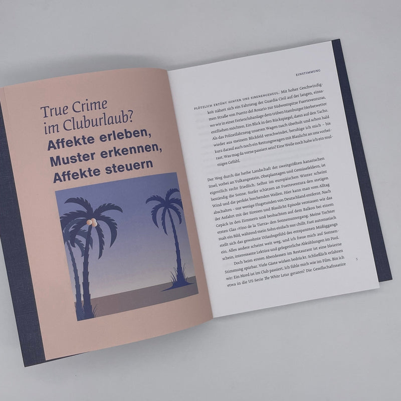 Bernhard Fischer-Appelt: Playbook Resonanz. Finde die Affekte, die Marken wirklich antreiben