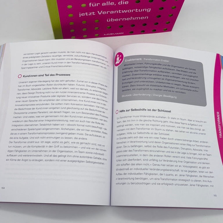 Michael Pachmajer, Carsten Hentrich: t.quarks. Das Transformationsbuch für alle, die jetzt Verantwortung übernehmen.