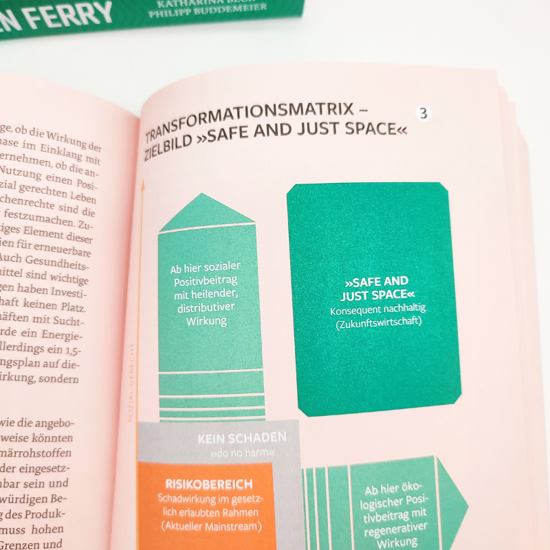 Katharina Beck, Philipp Buddemeier: Green Ferry – Das Ticket ins konsequent nachhaltige Wirtschaften.
